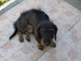 /album/fotogaleria/hpim1903-jpg/